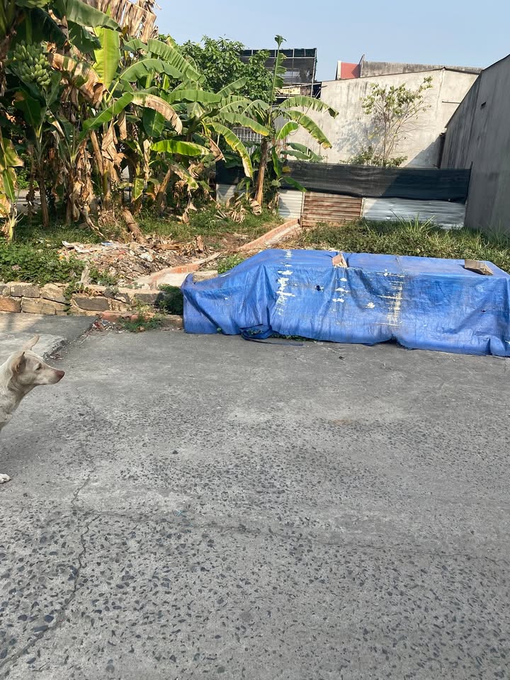 Đất nền xã Bình Minh, Trảng Bom 100m² giá 1 tỷ - Sổ đỏ chính chủ, cơ hội đầu tư tuyệt vời!