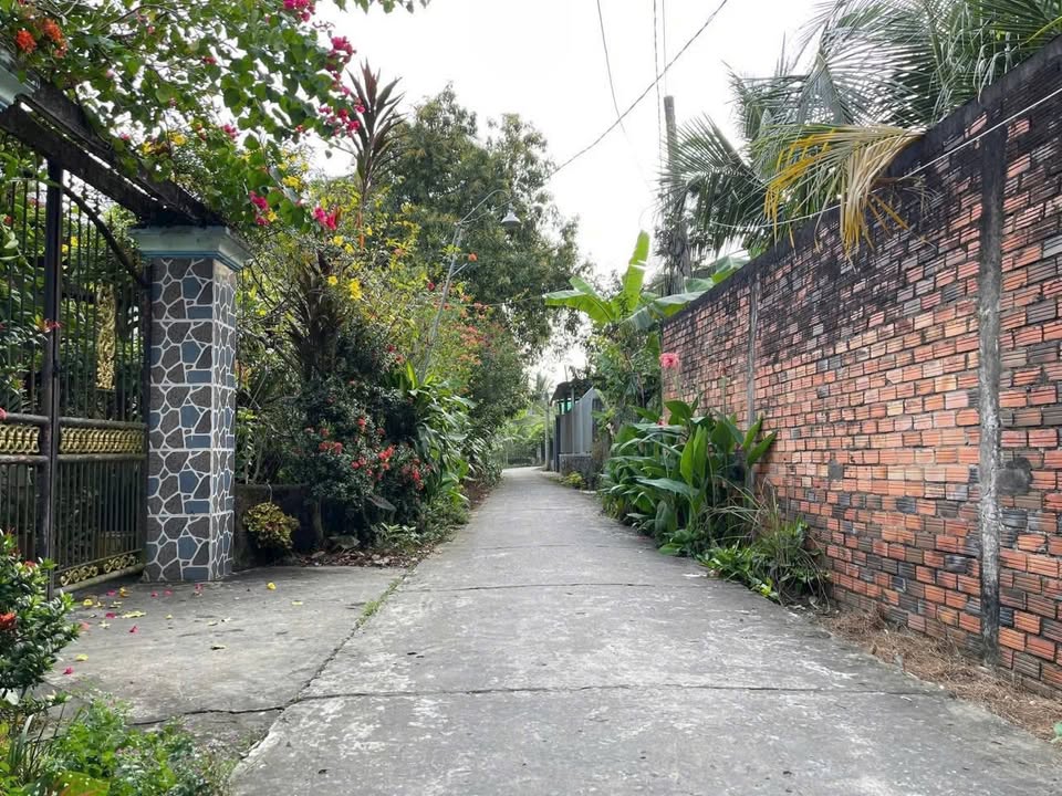 Đất Vườn Ao Cá 592m² xã Tân Thành, Đồng Tháp - Giá chỉ 739 triệu!