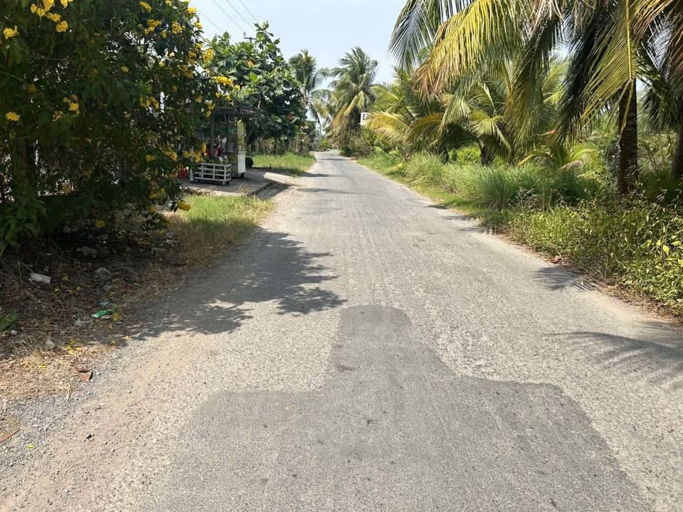 Đất nền Tân Hiệp B, Huyện Tân Hiệp, Kiên Giang 576m² giá 1.3 tỷ - Mặt tiền lộ nhựa thuận lợi!