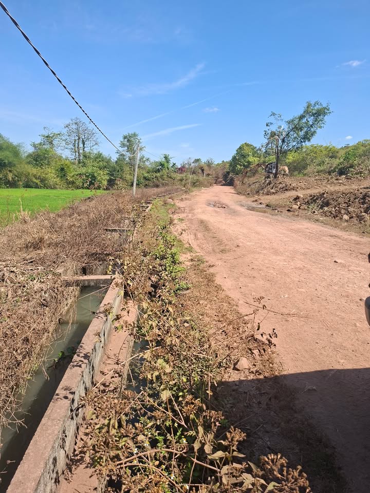 Đất nền 1ha xã Ea Wer, huyện Buôn Đôn, giá 2.5 tỷ - Đầu tư sinh lời ngay!