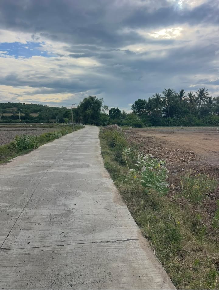 Đất Phú Thường, Tuy An 160m² giá 1 tỷ - Sổ hồng chính chủ!