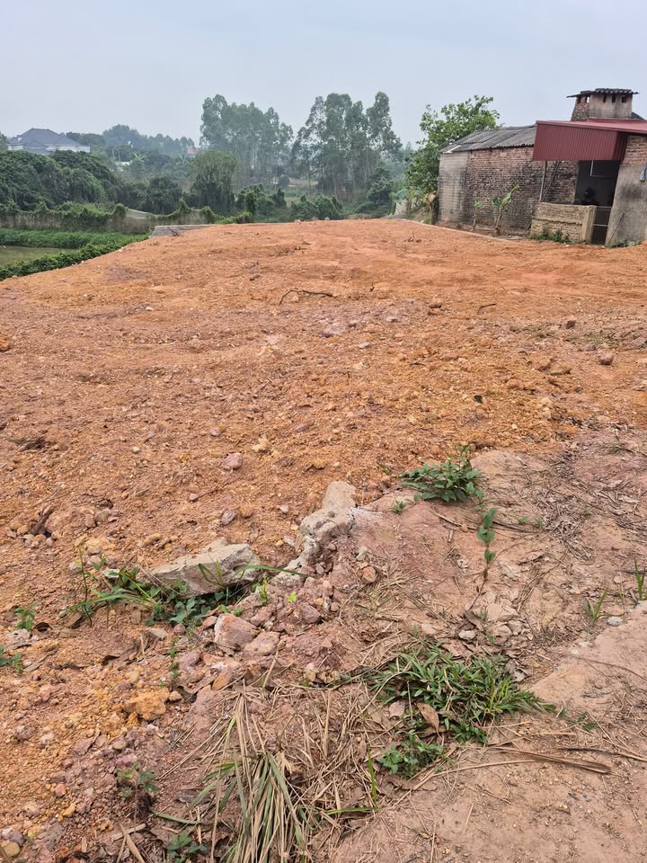 Đất nền Bố Hạ - Yên Thế, 656m² chỉ 750 triệu - Cơ hội đầu tư tuyệt vời!