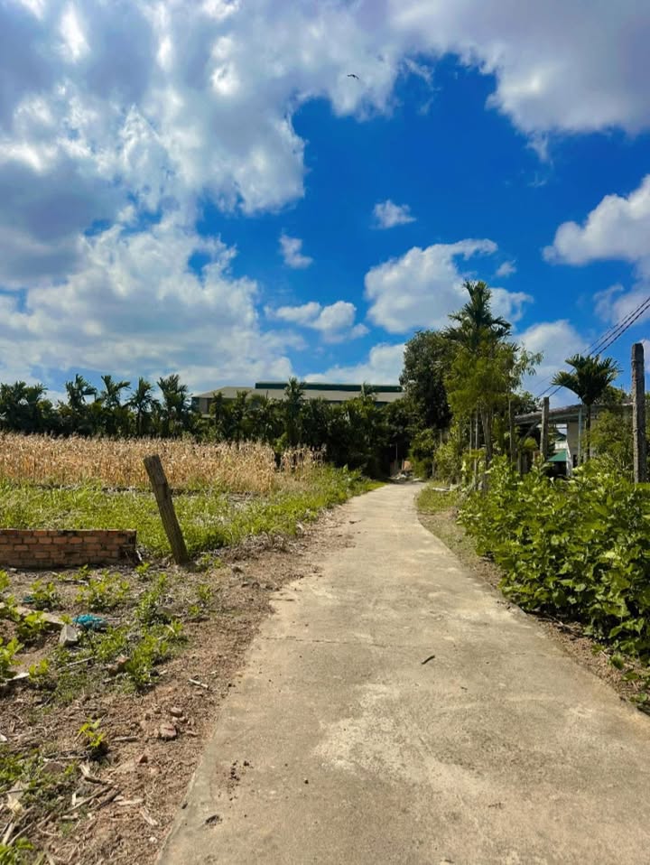 Đất nền xã Tâm Thắng, huyện Cư Jút - Giá chỉ 500 triệu, vị trí thuận lợi!