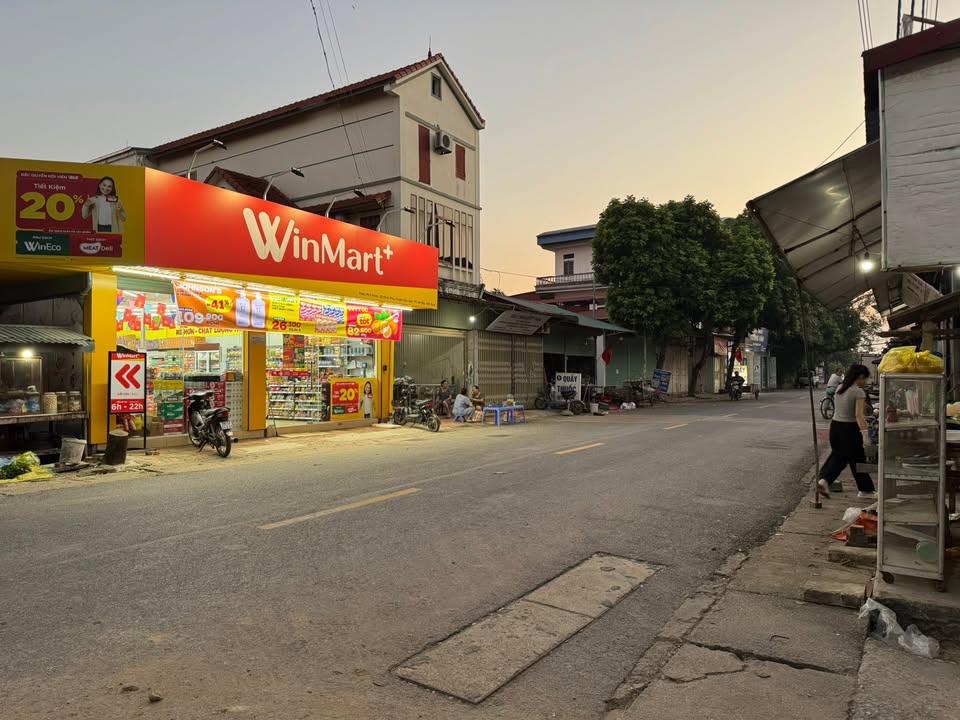 Đất nền 100m² tại xã Minh Trí, Sóc Sơn - Gần trục chính Phú Ninh