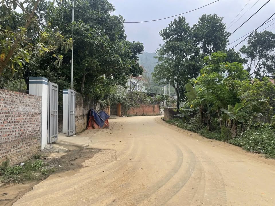 Đất nền Đông Xuân, Sóc Sơn 335m² giá 5 tỷ - Đầu tư sinh lời ngay!