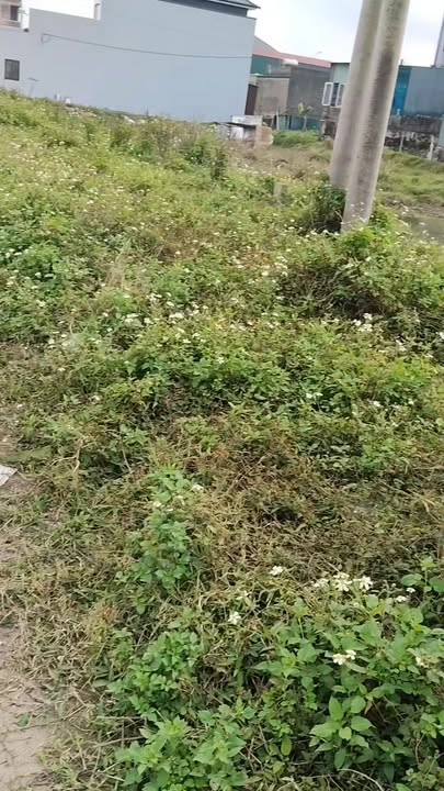 Đất đấu giá 2 lô tại Kỳ Đồng, 179m² giá chỉ 2 tỷ - Diện tích rộng, vị trí đắc địa!