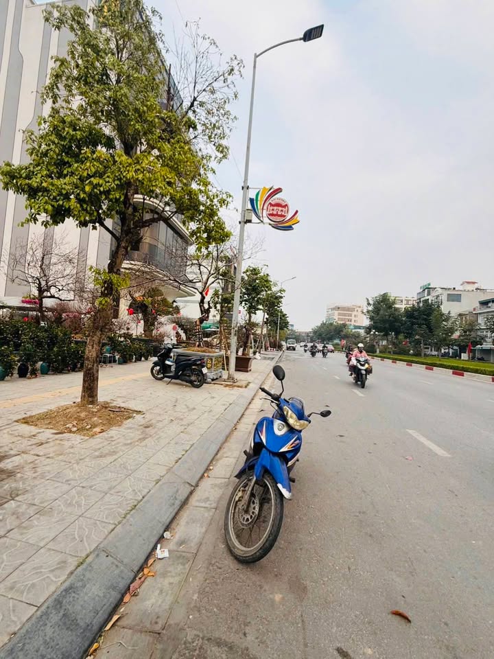 Đất nền khu đô thị Vịt Cỏ Hồ Sen - Diện tích đa dạng, giá chỉ từ 4 tỷ!