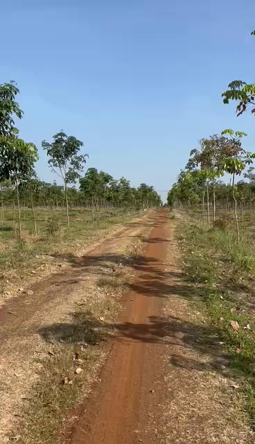 Đất thổ cư Xã Thừa Đức, Huyện Cẩm Mỹ 3802m² - Giá đầu tư hấp dẫn!