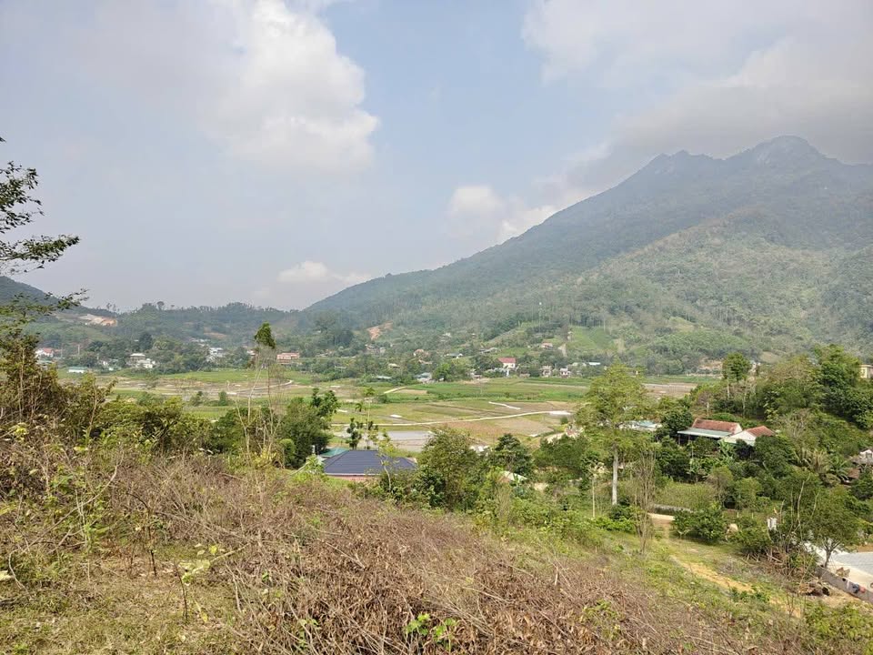 Đất nền 6000m² Huyện Ba Vì giá 4 tỷ - View đẹp, bám đường bê tông