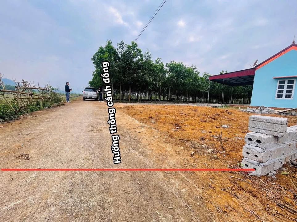Đất Farm Hữu Lợi Yên Thủy 1500m² giá 1.1 tỷ - Cơ hội đầu tư lý tưởng!