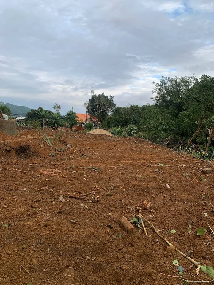 Đất nền Hòa Sơn, Hòa Vang 121m² giá 1.1 tỷ - Sổ chung, tách thửa dễ dàng!