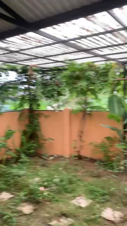 Nhà vườn nghỉ dưỡng Ninh Ích 180m² giá 1 tỷ - Sẵn sàng vào ở ngay!