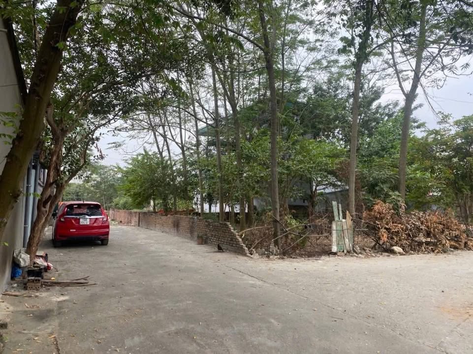 Đất nền Xã Thụy Vân 305m² giá 3.05 tỷ - Đầu tư sinh lời ngay!