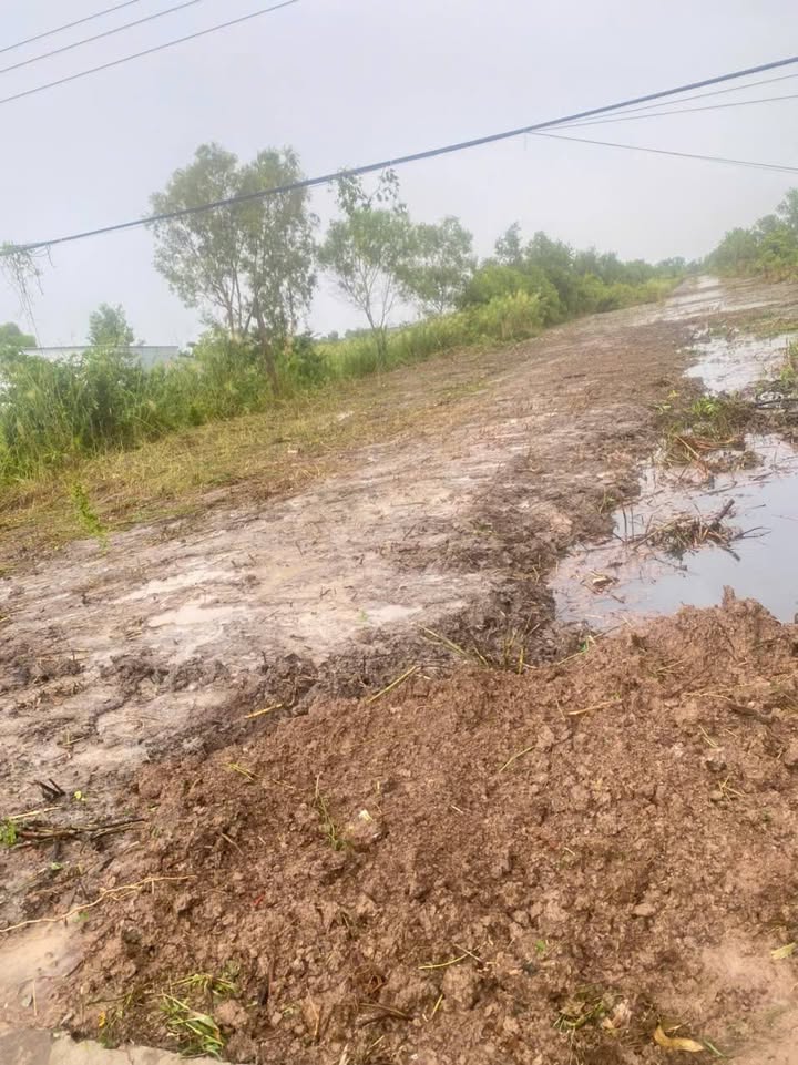 Đất nền 5980m² tại Ấp 3, Xã Nguyễn Phích, Cà Mau - Giá tốt chỉ 32.89 tỷ!