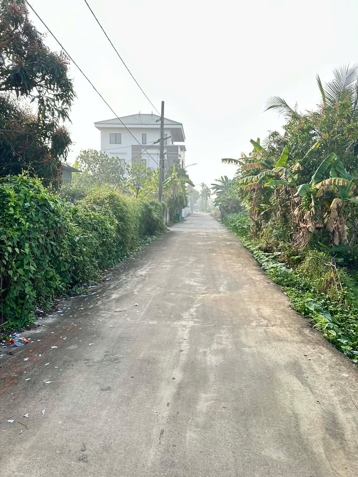 Đất nền 70m² Phường Nam Sơn, An Dương, Hải Phòng giá chỉ 1.9 tỷ - Đầu tư tiềm năng!