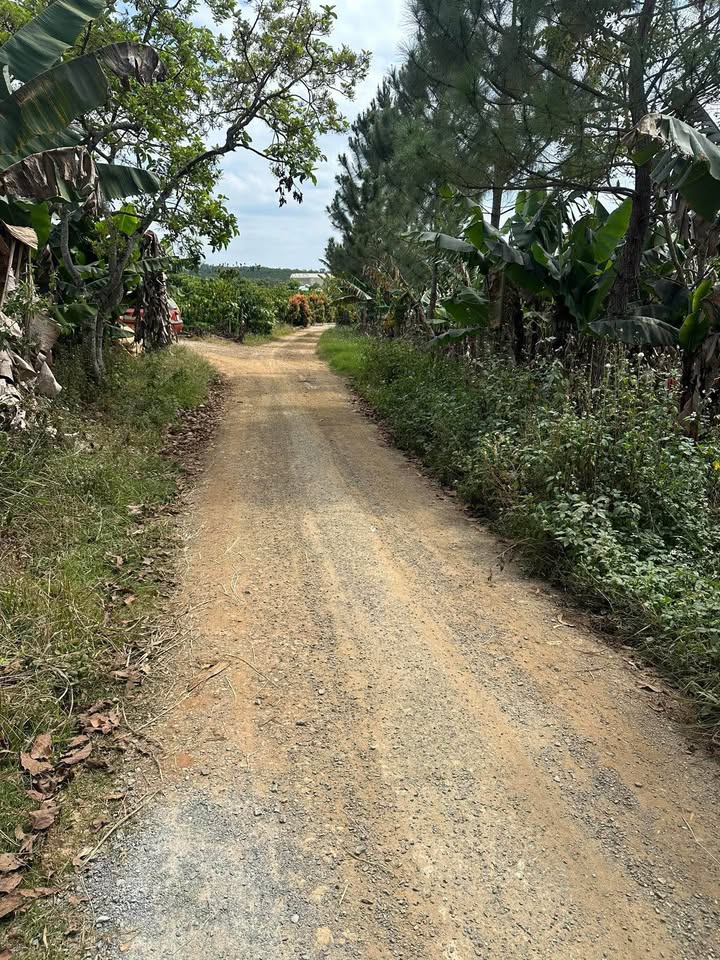 Đất thổ cư 600m² xã Lộc Đức giá 750 triệu - Xây dựng tự do, ô tô tận đất!