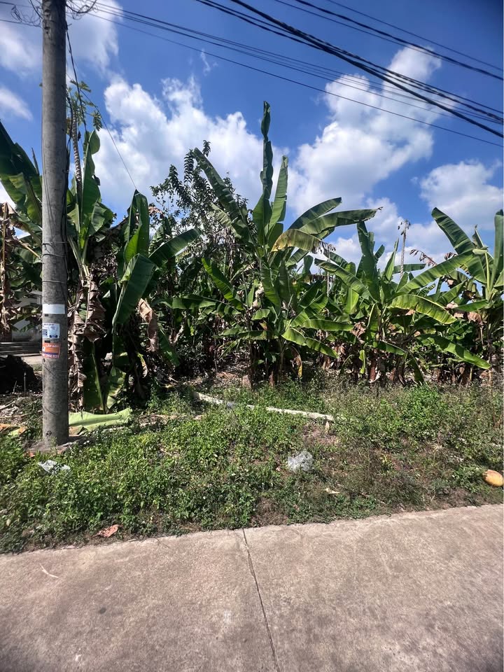 Đất nền xã Trà Cổ, huyện Tân Phú, 150m² chỉ 480 triệu - Đầu tư sinh lời hấp dẫn!