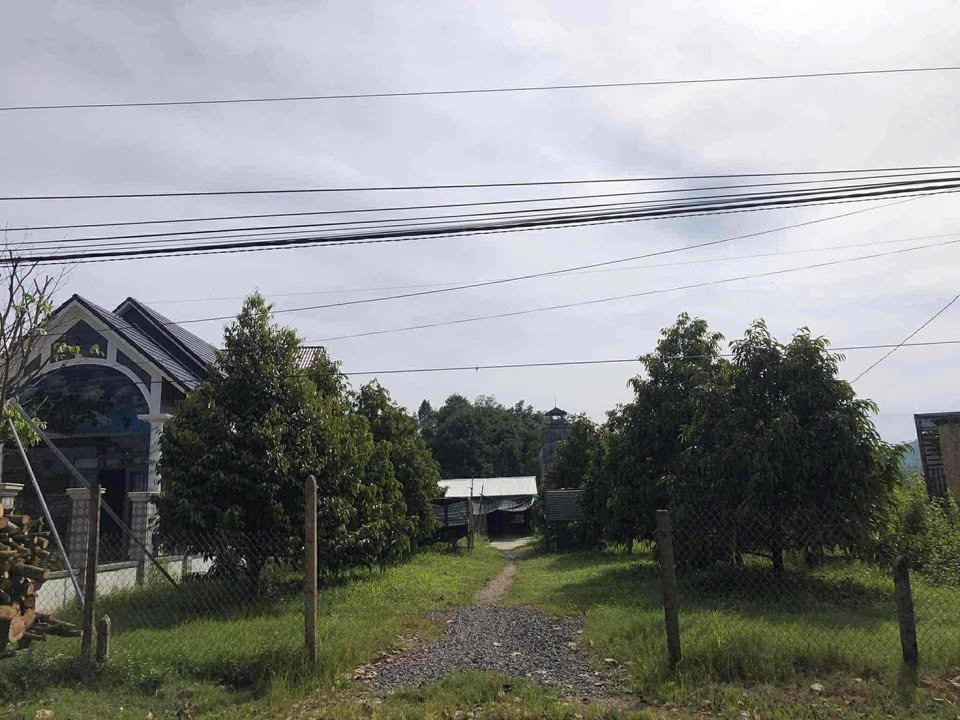 Đất vườn 1900m² tại Cẩm Mỹ, Đồng Nai giá 1.85 tỷ - Sổ hồng chính chủ