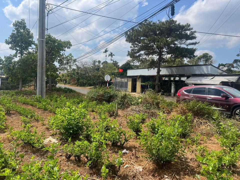 Đất Lý Thái Tổ Quận 10 203m² giá 2.65 tỷ - Lô góc 2 mặt tiền hấp dẫn!