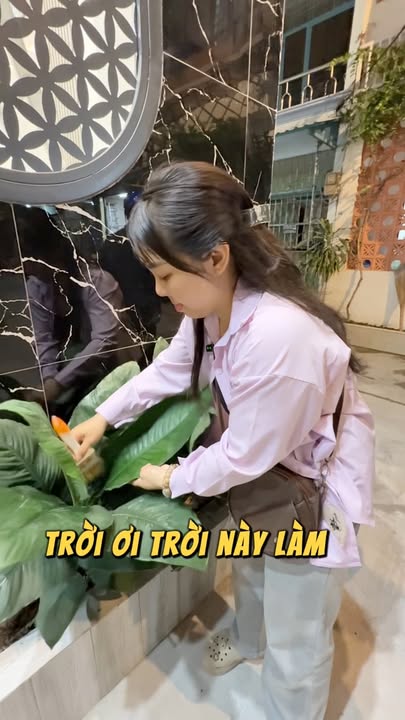 Nhà góc 2 mặt hẻm Tân Hòa Đông 64m² giá 6.7 tỷ - An ninh yên tĩnh!