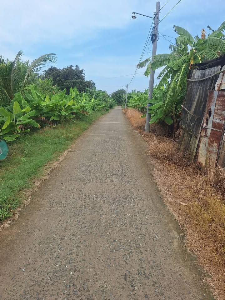 Đất nền Khu phố Long Bình 299m² giá 295 triệu - Sổ đỏ chính chủ!