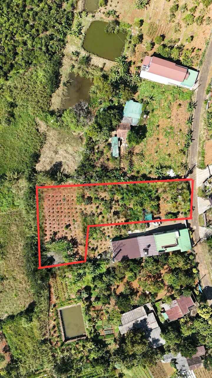 Mặt tiền Phó Đức Chính, P2, Quận Bình Thạnh, 1300m², Giá 3.75 tỷ - Đất nở hậu, vị trí đắc địa!