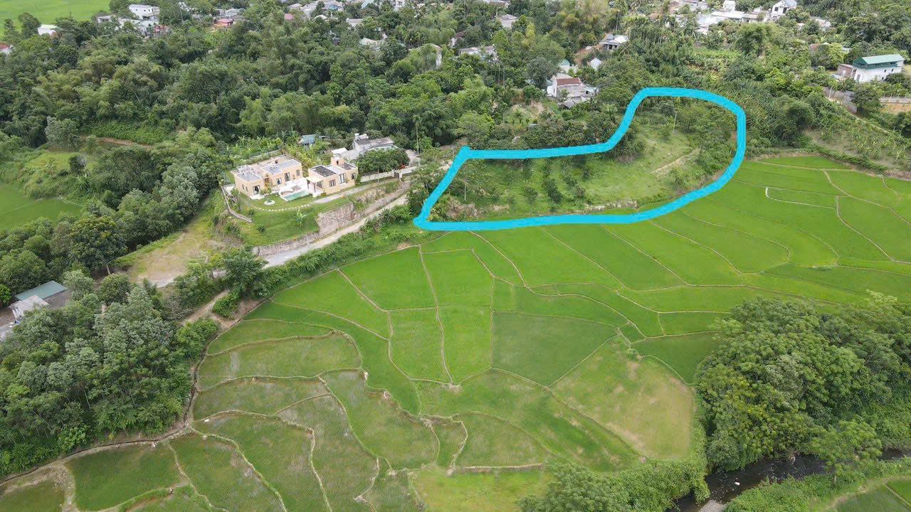 Đất thổ cư Kim Bôi Hòa Bình 800m² giá 1.x tỷ - View cánh đồng tuyệt đẹp!