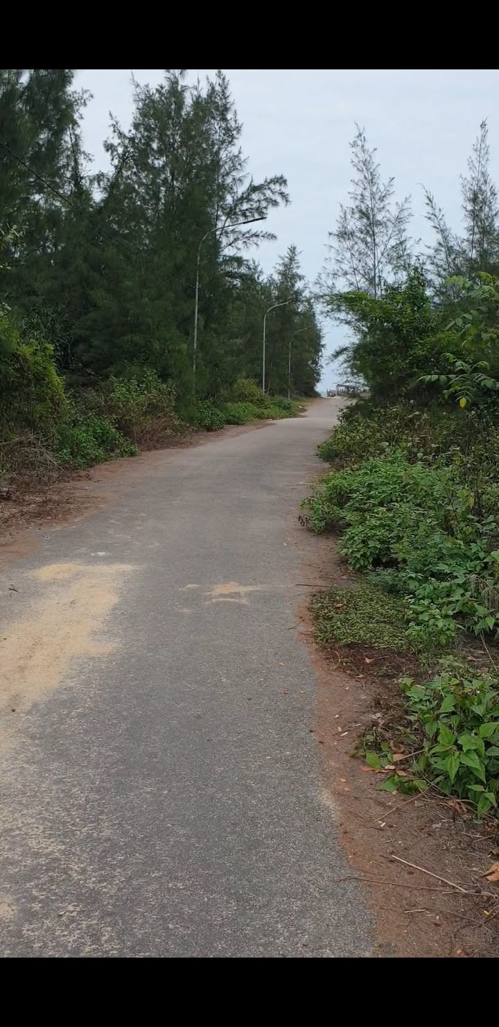 Đất cây lâu năm 1400m² tại Biển Bình Minh, Đà Nẵng - Gần biển, giá chỉ 2 tỷ!