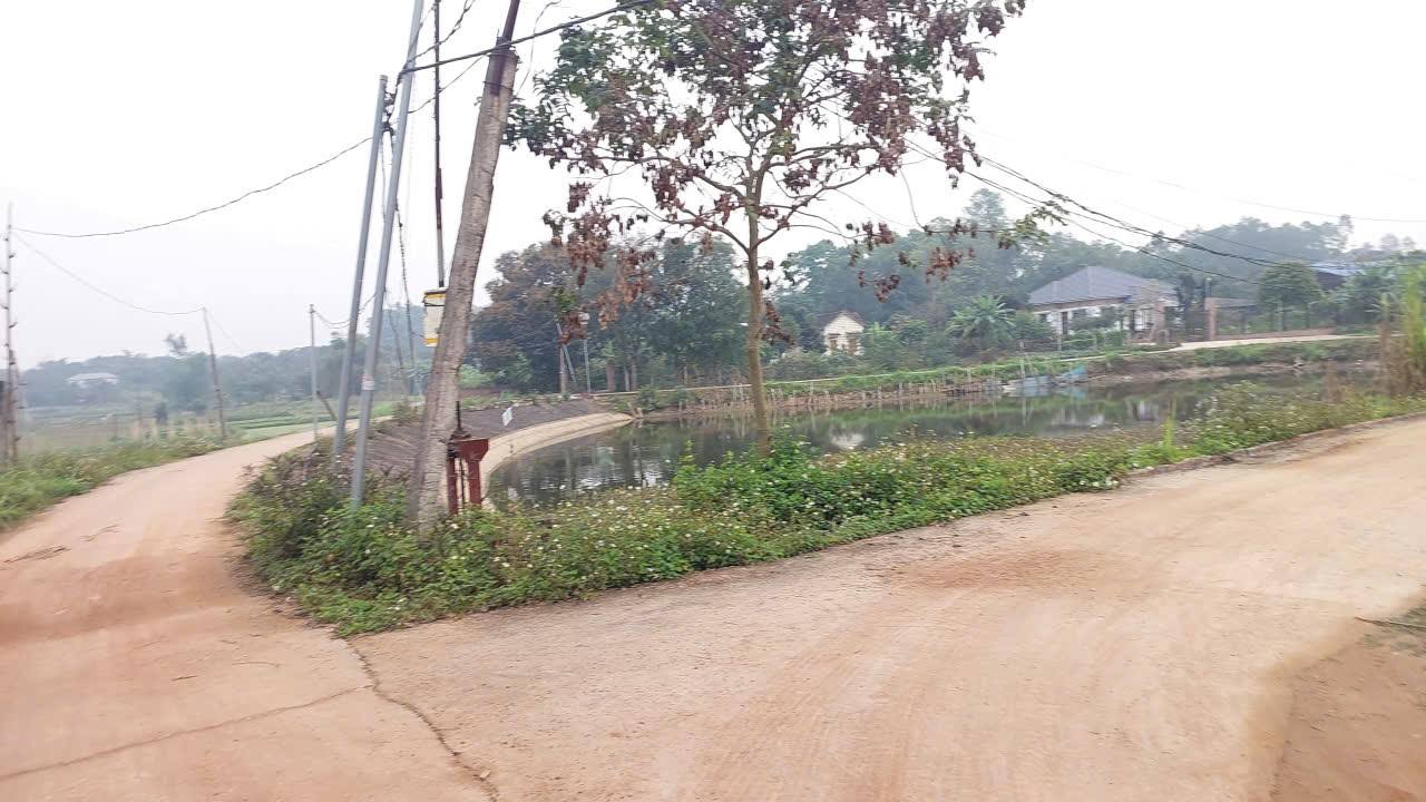 Đất thổ cư Hướng Đạo, Tam Dương 176m² giá 800 triệu - Vị trí đẹp, gần hồ