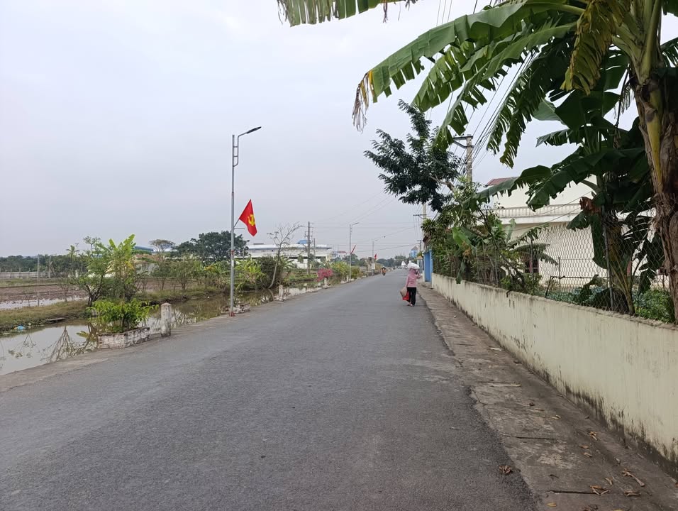 Đất thổ cư 400m² tại Giao Thuỷ - Giá chỉ 2 tỷ - Chính chủ bán gấp!