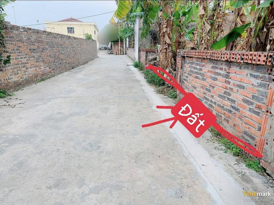 Đất nền Tổ dân phố Tân Sơn, Phường Tân An, 280m² - Giá tốt chỉ 2 tỷ VND!