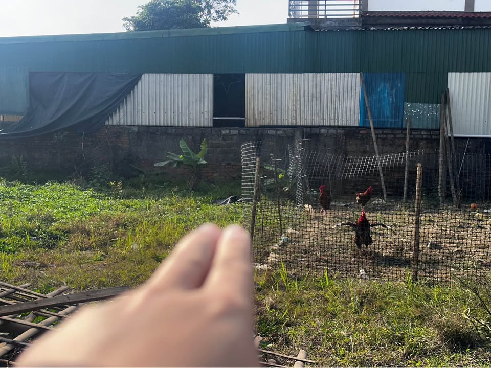 Đất Nghi Thuận 92m² giá 1.7 tỷ - Cơ hội đầu tư tuyệt vời!