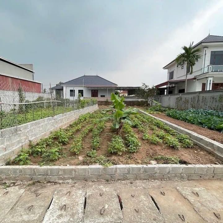 Đất nền Xã Hoàng Long, Huyện Phú Xuyên 66m² giá 3.5 tỷ - Pháp lý rõ ràng, sẵn sàng giao dịch!