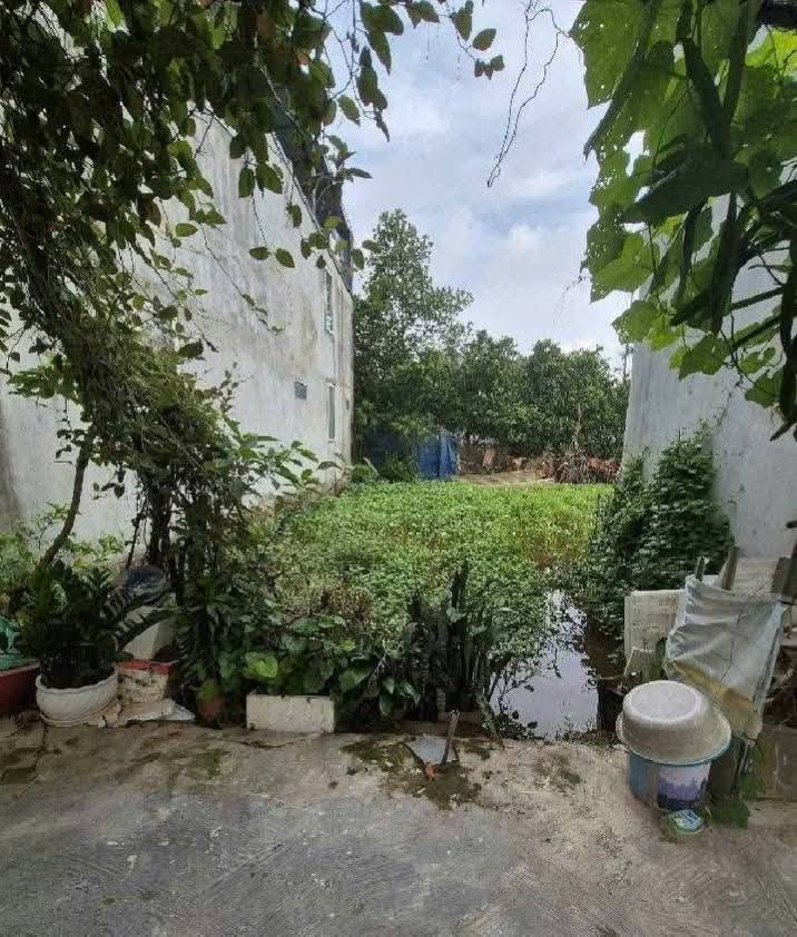 Đất nền xã Ngũ Hiệp, huyện Thanh Trì 50m² giá 3 tỷ - Đầu tư sinh lời ngay!