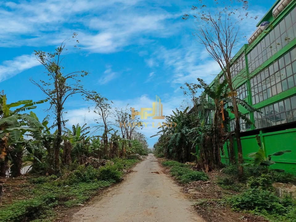 Đất nền song lập Ninh Bình 216m² giá 15.12 tỷ - Đầu tư sinh lời tốt!