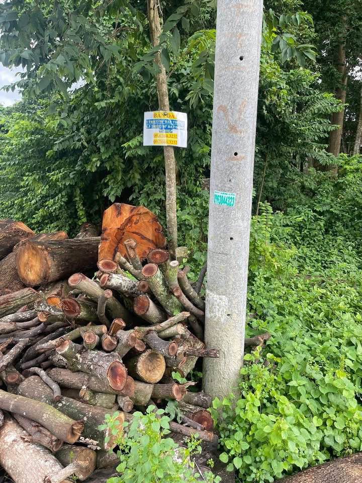 FrontHouse mặt tiền Nguyễn Thị Nê 798m² giá 6 tỷ - Cơ hội đầu tư tuyệt vời!