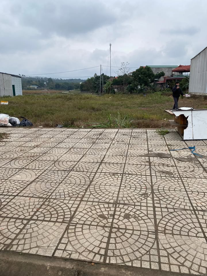 Đất nền Xã Tu Vũ 100m² giá 1 tỷ - Đầu tư sinh lời hợp lý!