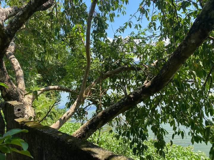 Đất Farm Hữu Nghị Hòa Bình 487m² giá 4 tỷ - Cơ hội đầu tư lý tưởng!