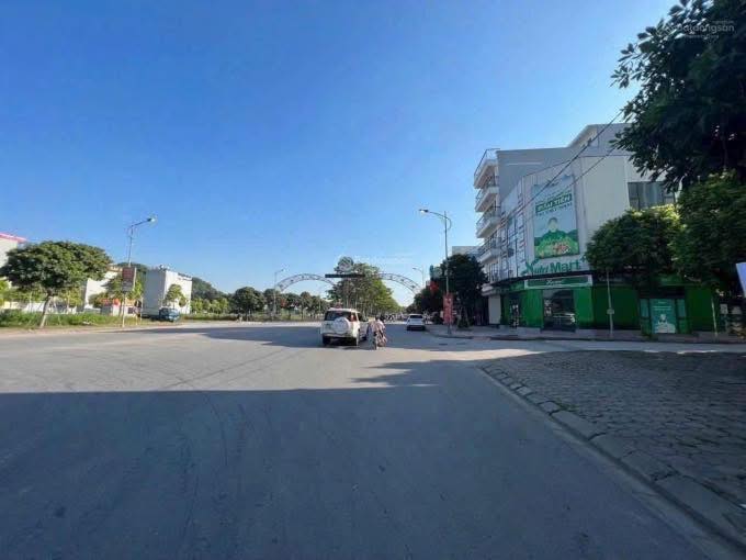 Đất nền mặt đường Vành Đai Tuần Châu 100m² giá chỉ 8 tỷ - Cơ hội đầu tư tuyệt vời!