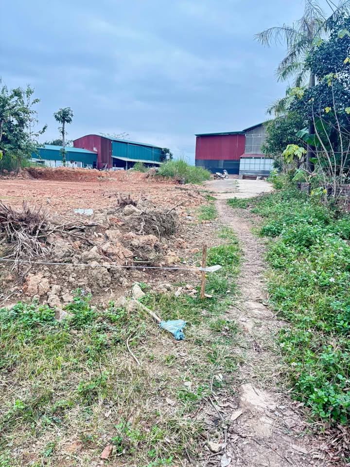 Đất nền Hưng Đạo, Cao Bằng 100m² - Ô tô đỗ cửa, cơ hội đầu tư tuyệt vời!