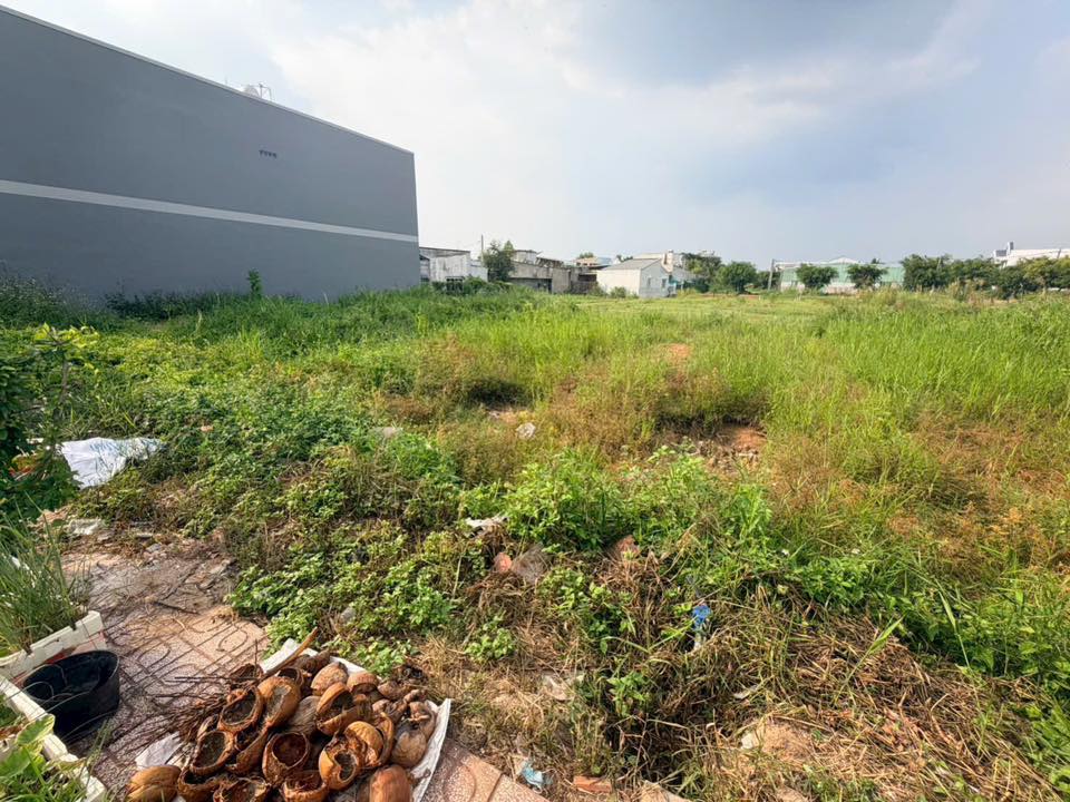 Đất nền khu Bưu Điện Tân Mỹ Chánh 100m² giá 800 triệu - Sổ hồng chính chủ