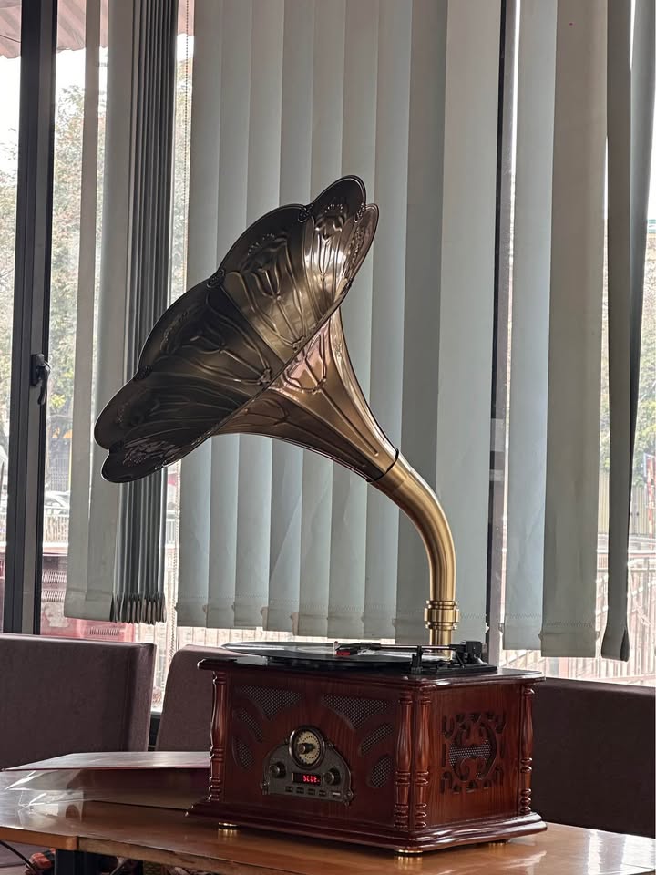 Đất thổ cư Phường Phượng Mao, Thị xã Quế Võ 76m² - Vị trí đắc địa, giá thỏa thuận!