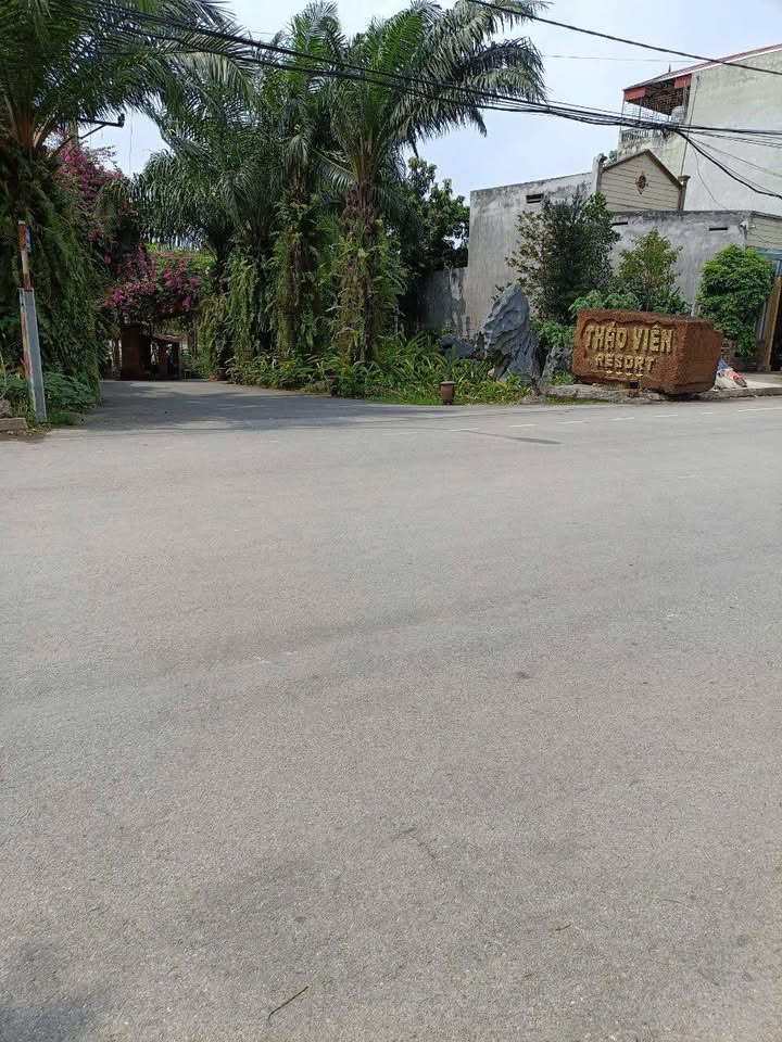 Đất thổ cư 96m² phường Sơn Lộc giá 1 tỷ - Cơ hội đầu tư không thể bỏ lỡ!