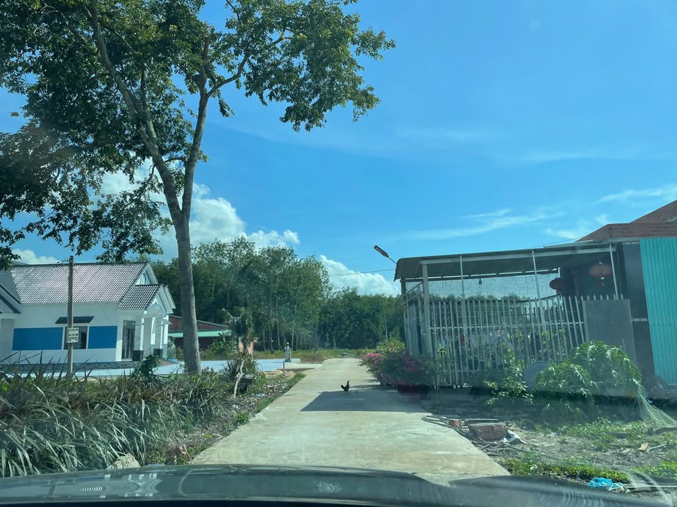 Đất thổ cư Phước Thạnh, Gò Dầu 201m² chỉ 550 triệu - Sổ hồng riêng, đầu tư sinh lời!