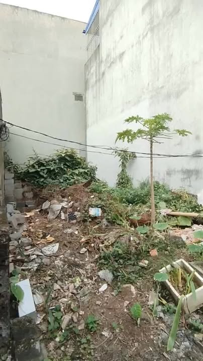 Đất nền Ngõ 98 Nguyễn Văn Trỗi Nam Định 56m² - Giá chỉ 1.49 tỷ, cơ hội đầu tư tốt!