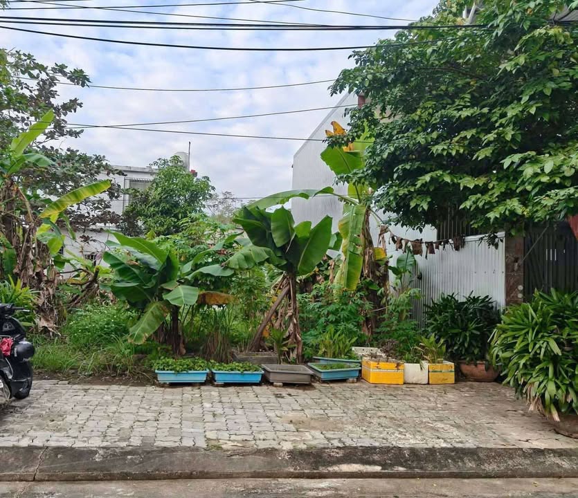 Đất nền Hòa Xuân, Đà Nẵng 80m² giá 4.05 tỷ - Vị trí đắc địa gần sông