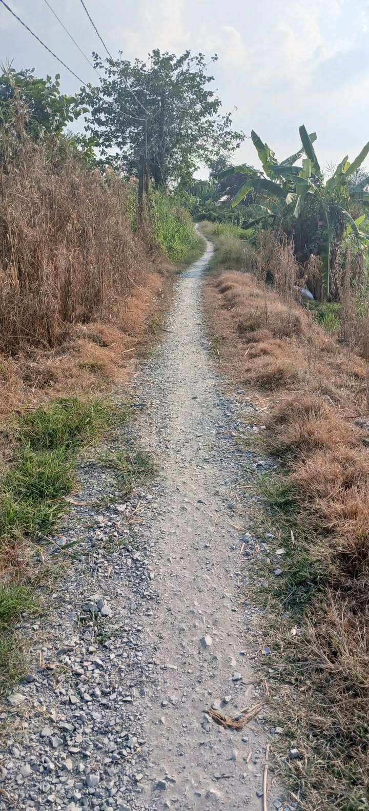 Đất vườn 3900m² tại xã Long Hậu, Đồng Tháp - Giá chỉ 1.299 tỷ, thương lượng ngay!