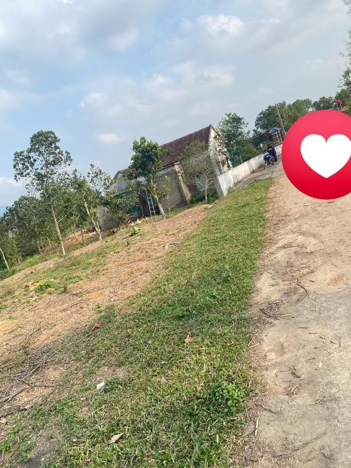 Đất nền xã Nam Thanh, huyện Nam Đàn 300m² giá 600 triệu - Đường thông thoáng