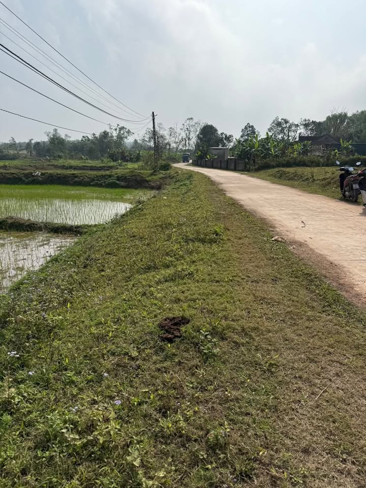 Đất nền xã Nam Thái, huyện Nam Đàn, 176m² giá 550 triệu - Cơ hội đầu tư tuyệt vời!