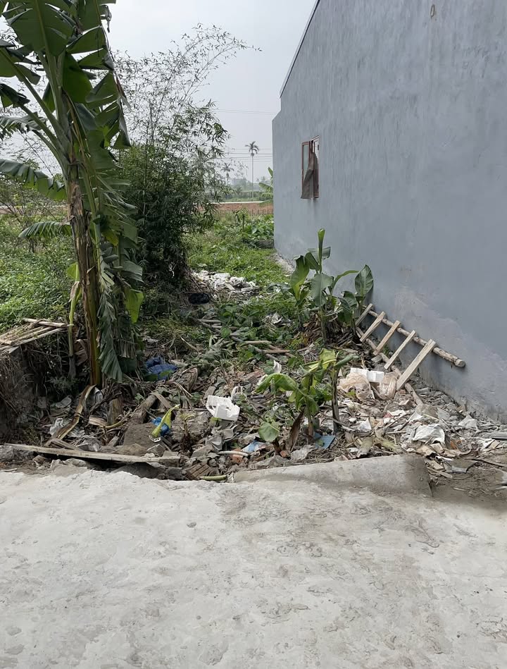 Đất nền 66m² tại Đồng Tử 2, Kiến An - Sổ đỏ chính chủ chỉ 1.18 tỷ